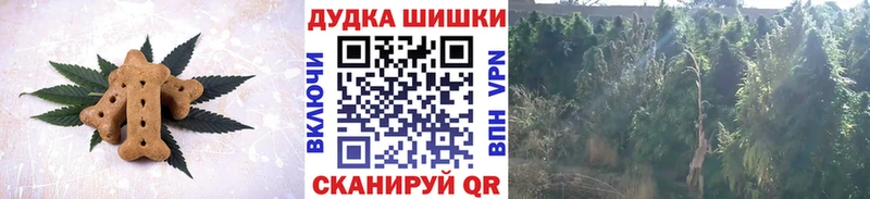 Cannafood конопля  Ставрополь 