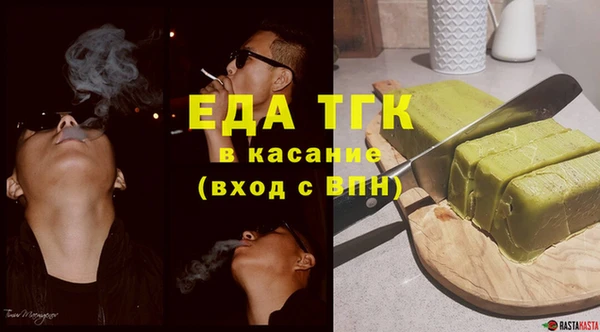 МДПВ Бородино