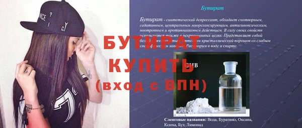 МДПВ Бородино