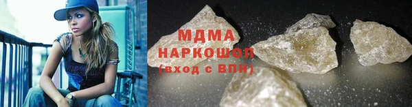 МДПВ Бородино