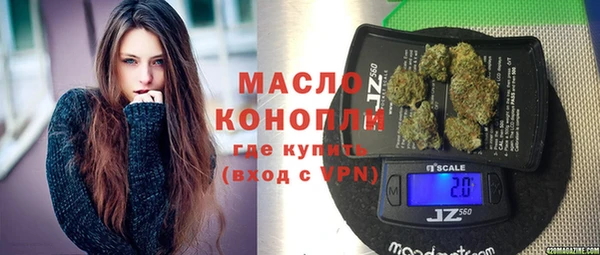 МДПВ Бородино