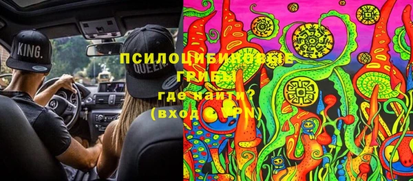 МДПВ Бородино