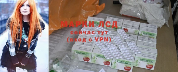 МДПВ Бородино