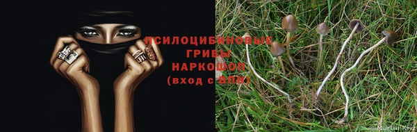 a pvp Богданович